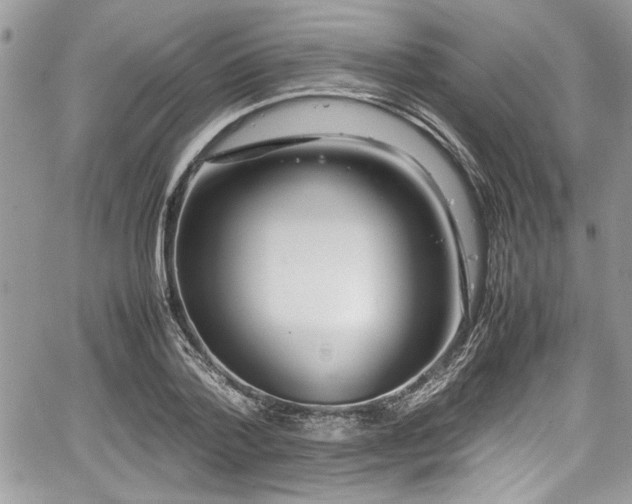 X0000067950788200604171434