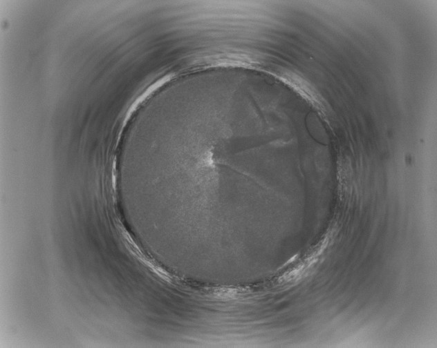 X0000067950790200604171434