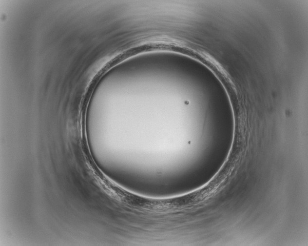 X0000067950791200604171434