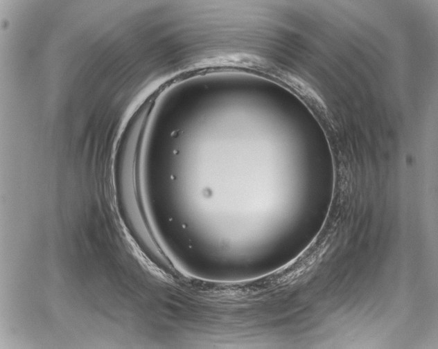 X0000067950792200604171434