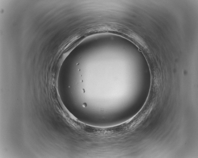 X0000067950793200604171434