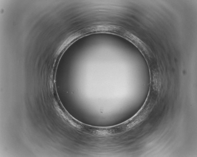 X0000067950794200604171434