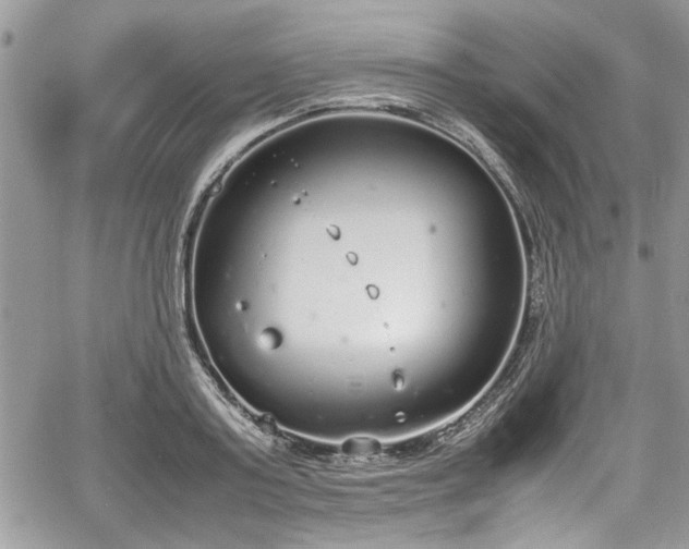 X0000067950795200604171434