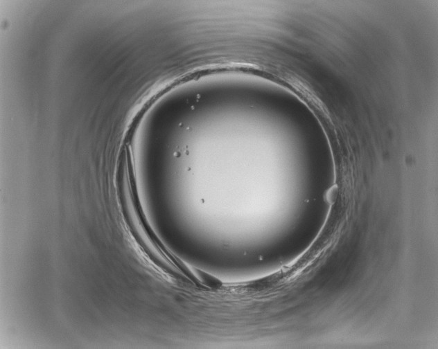 X0000067950797200604171434