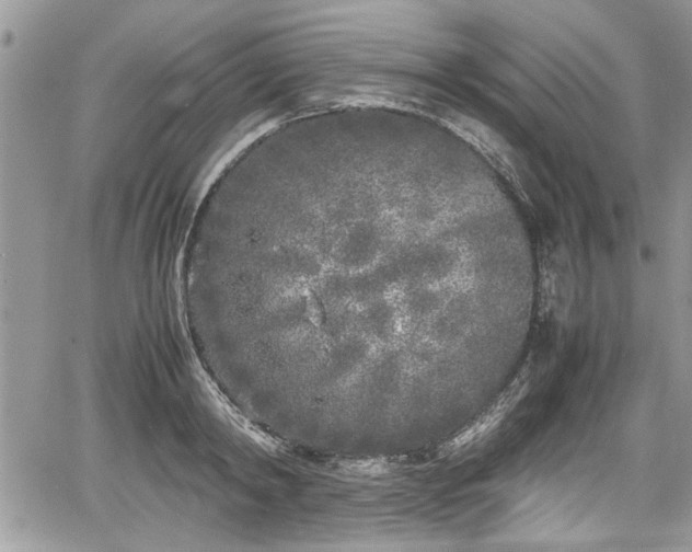 X0000067950798200604171434