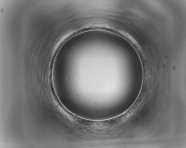 X0000067950799200604171434