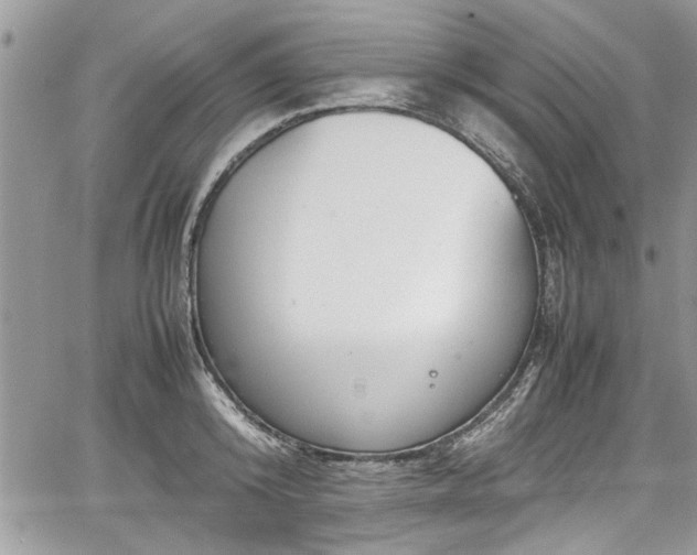 X0000067950800200604171434