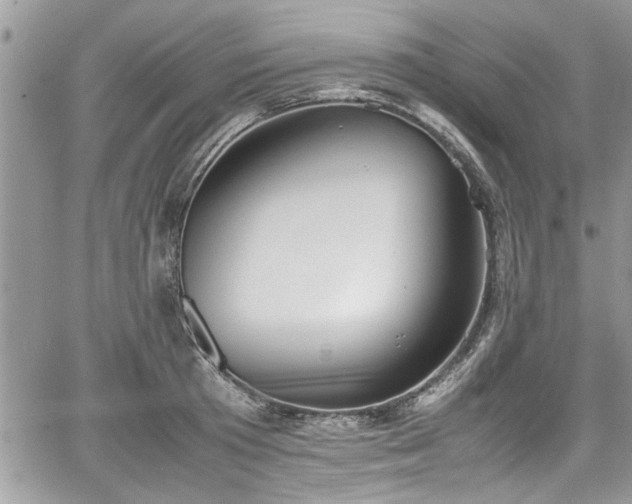 X0000067950801200604171434