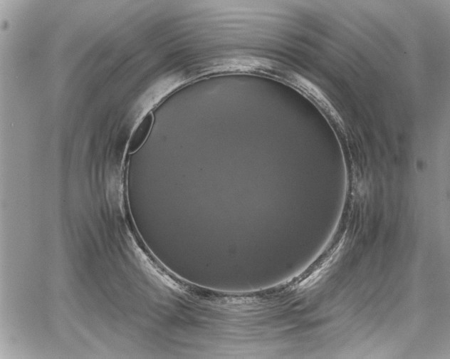 X0000067950802200604171434