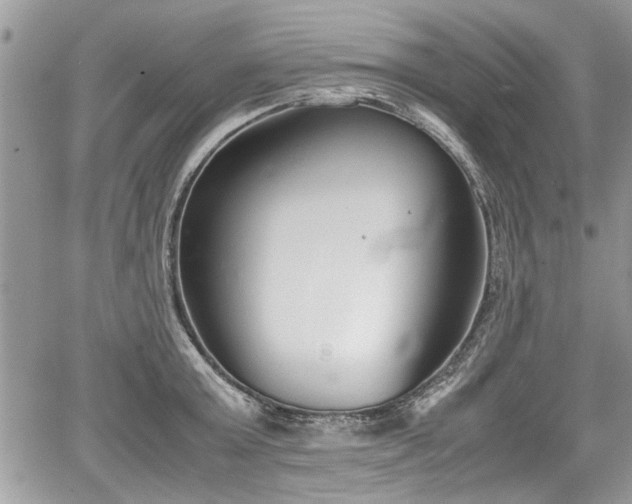 X0000067950803200604171434