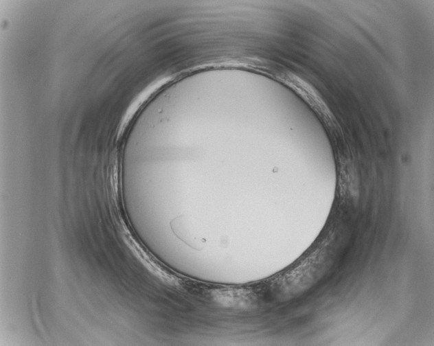 X0000067950804200604171434