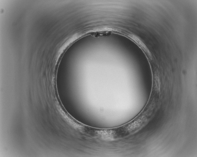 X0000067950805200604171434