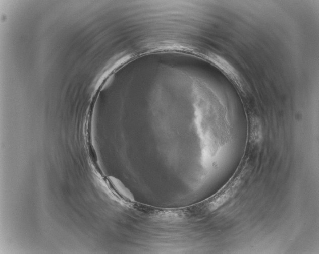 X0000067950806200604171434