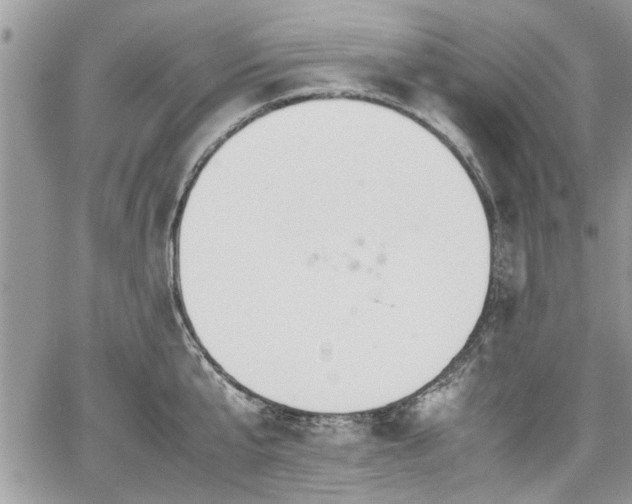 X0000067950807200604171434