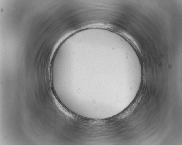 X0000067950808200604171434