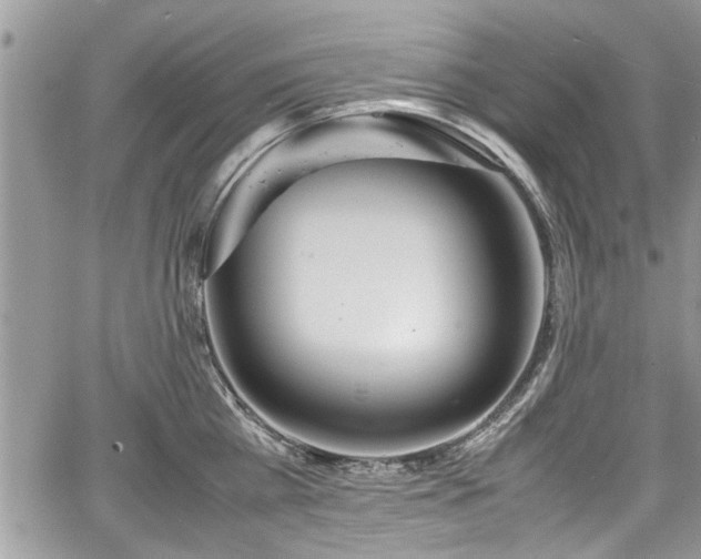 X0000067950809200604171434