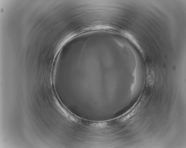 X0000067950810200604171434