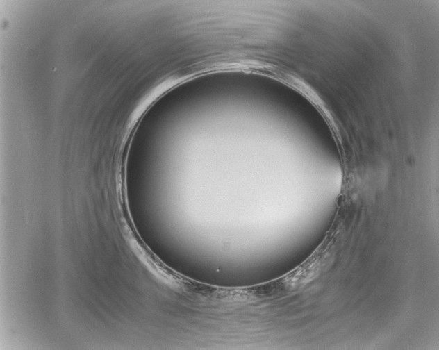 X0000067950811200604171434