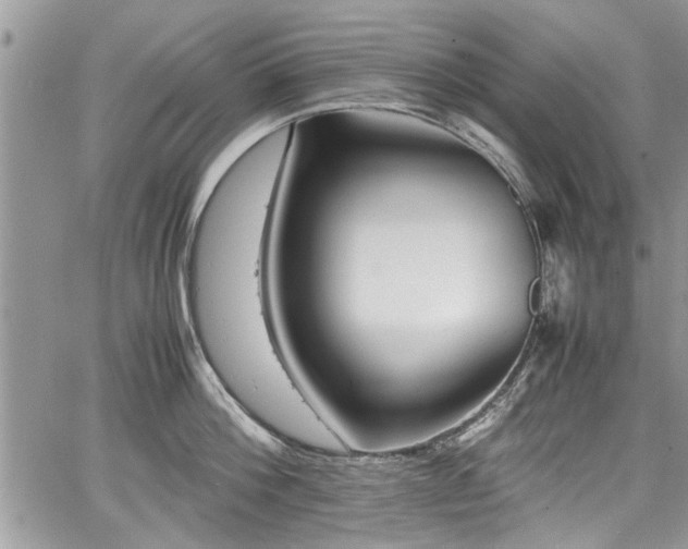 X0000067950812200604171434