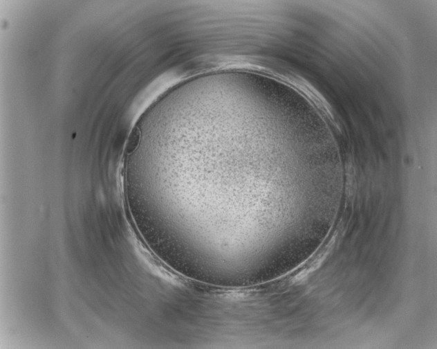 X0000067950814200604171434