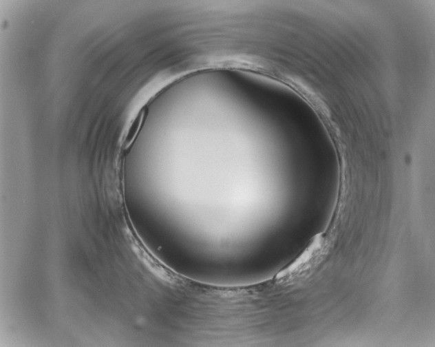 X0000067950816200604171434