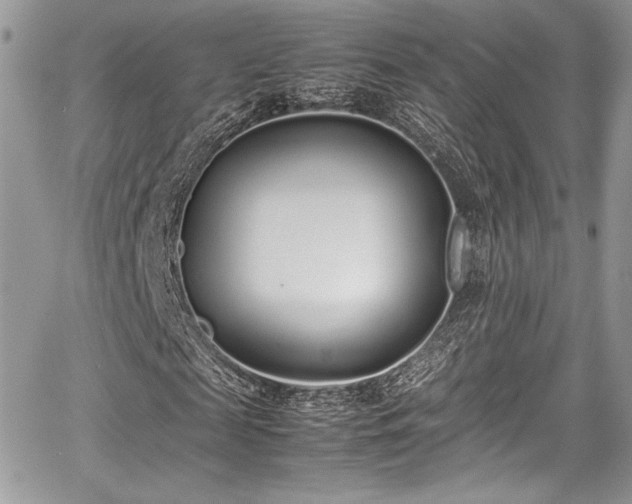 X0000067950817200604171433