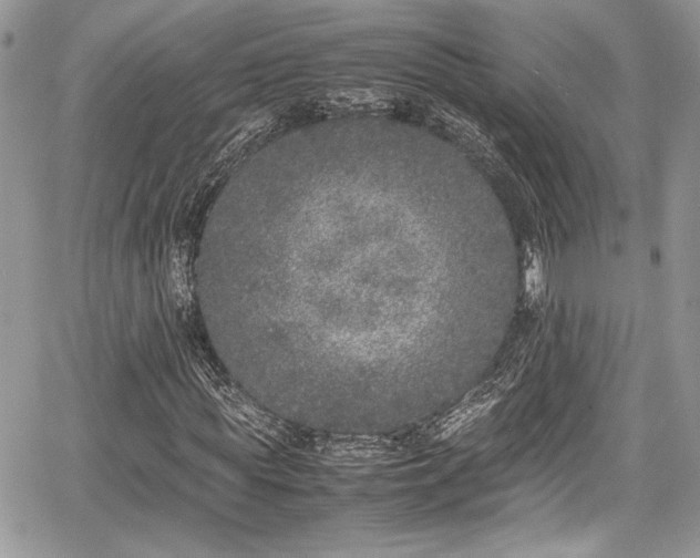 X0000067950819200604171433