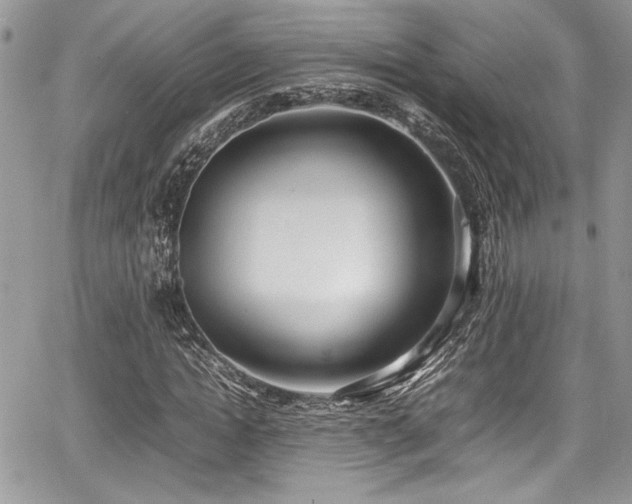 X0000067950822200604171433