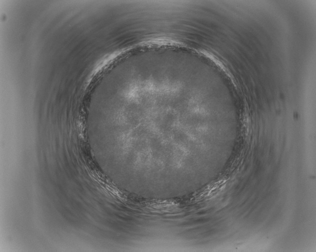 X0000067950823200604171433