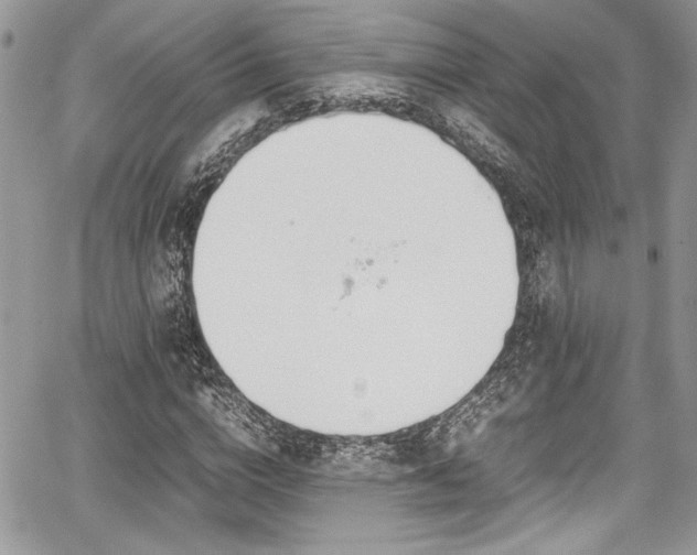 X0000067950824200604171433