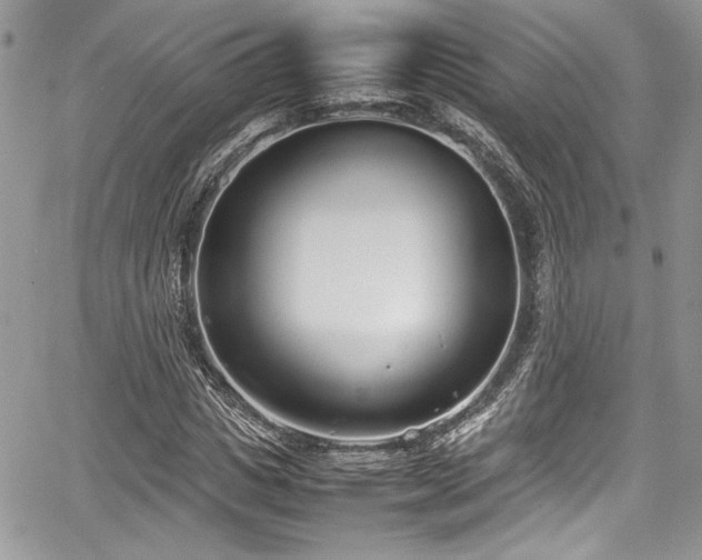 X0000067950825200604171433