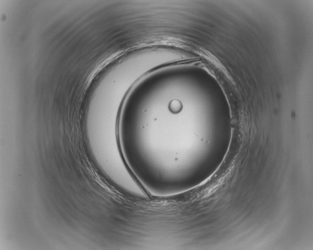 X0000067950826200604171433