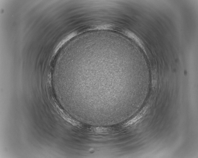 X0000067950827200604171433