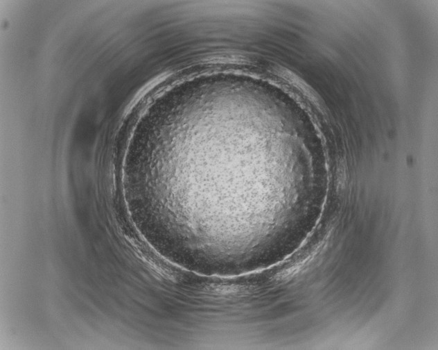 X0000067950829200604171433