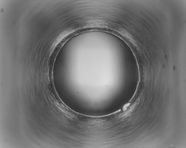 X0000067950830200604171433