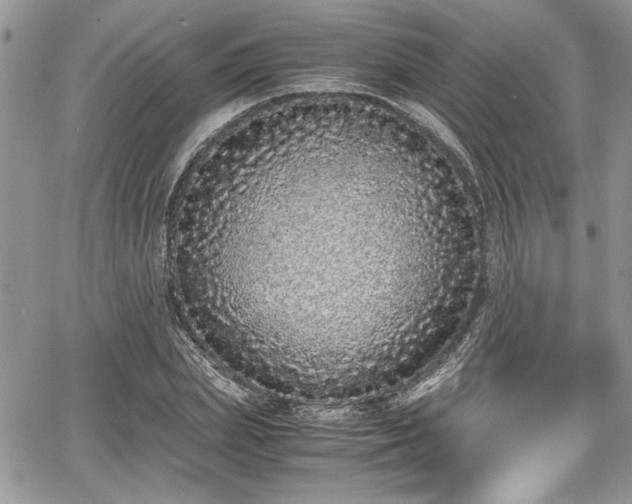 X0000067950831200604171433