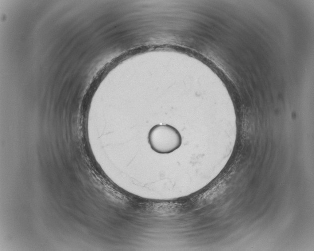 X0000067950832200604171433