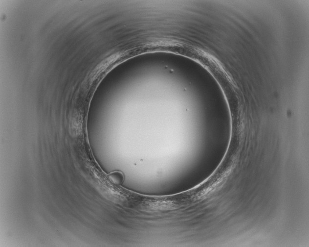 X0000067950833200604171433