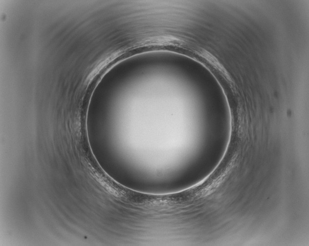 X0000067950834200604171433