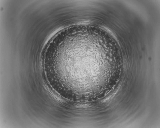 X0000067950835200604171433