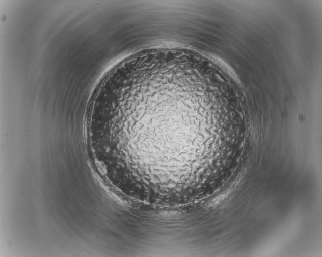 X0000067950839200604171433