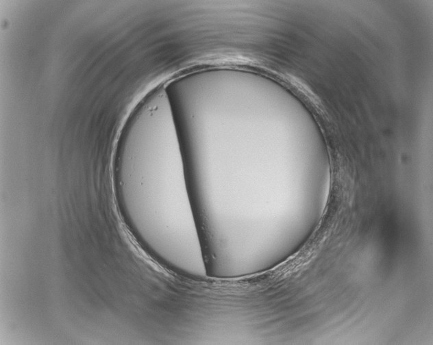 X0000067950840200604171433