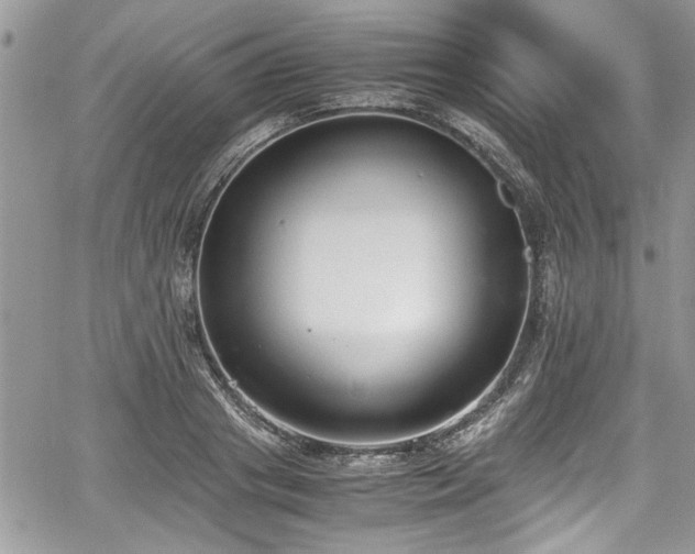 X0000067950841200604171433