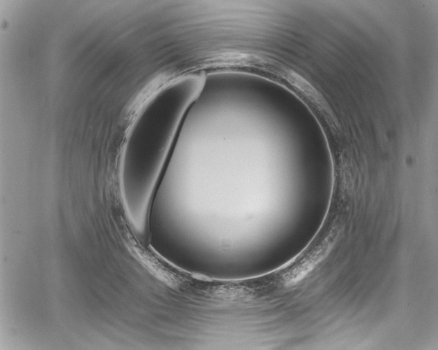 X0000067950842200604171433