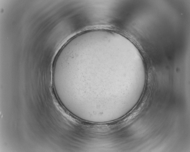 X0000067950844200604171433