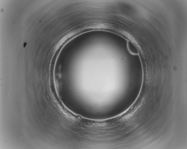 X0000067950845200604171433