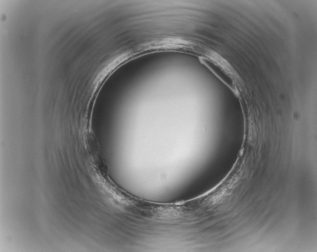 X0000067950850200604171433