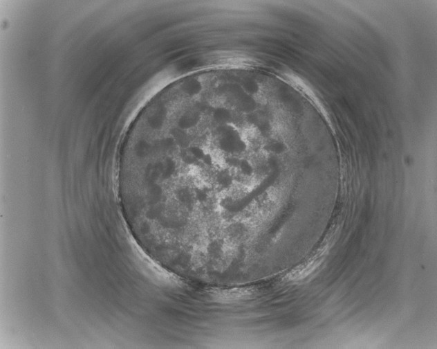 X0000067950851200604171433