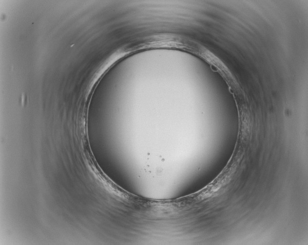 X0000067950852200604171433