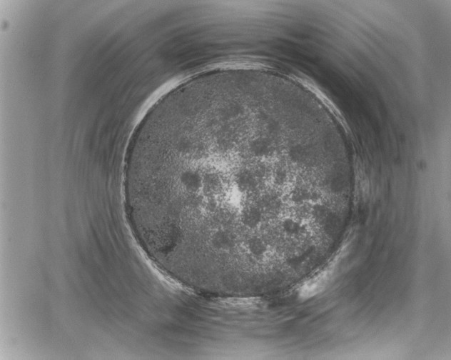 X0000067950853200604171433